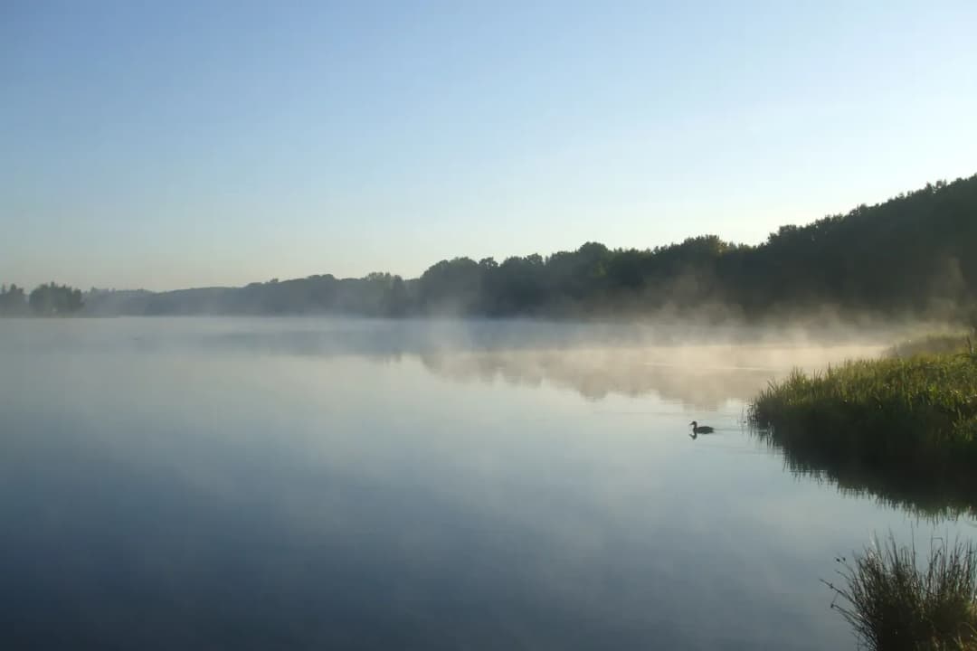 Jezioro Wysockie: Odkryj piękno i atrakcje tego urokliwego miejsca