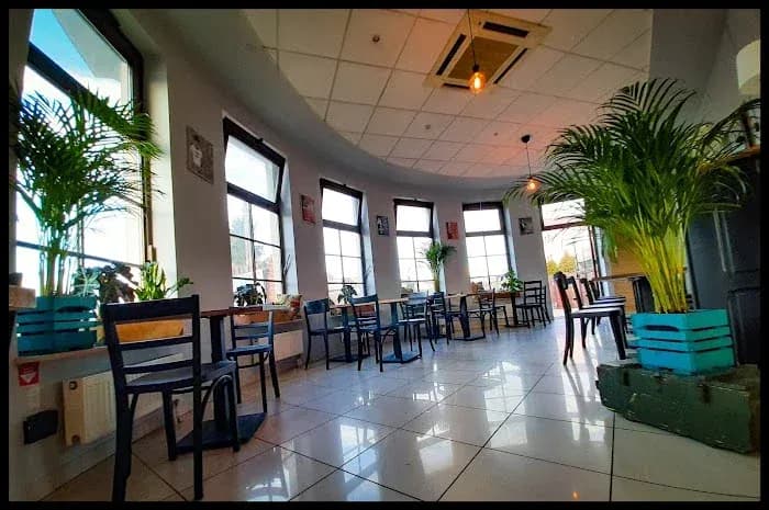 Gdzie zjeść w Zwierzyńcu? Odkryj najlepsze lokale gastronomiczne